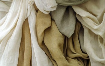 Sadelikten Gelen Zerafet